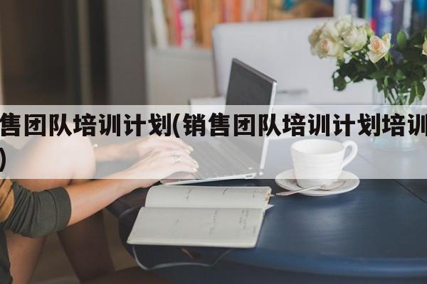 销售团队培训计划(销售团队培训计划培训师资)